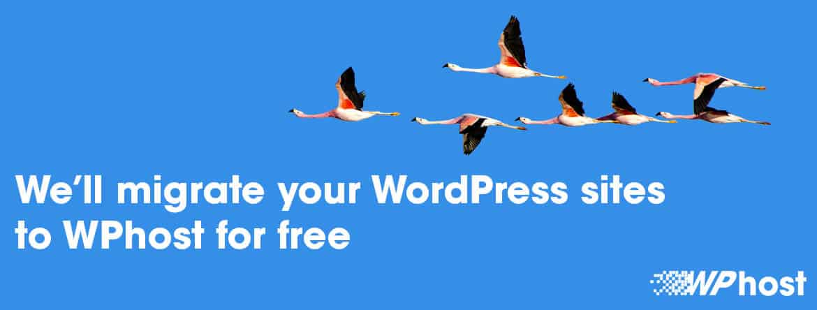 WordPress Migration