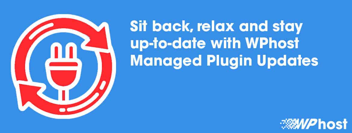 WordPress Managed Plugin Updates