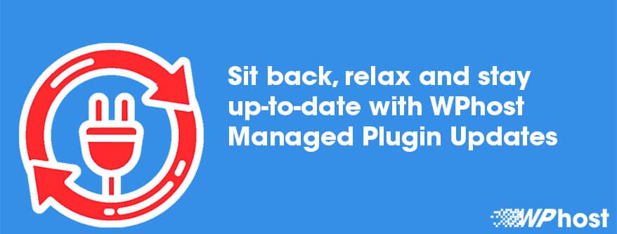 Monthly Managed Plugin Updates Service