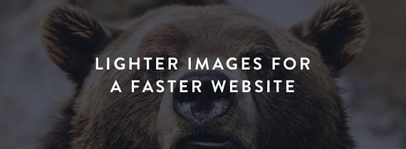 Optimise every image including your JPGs, PNGs, PDFs & GIFs