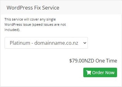 WordPress Fix Service
