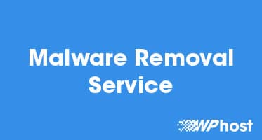 Malware Removal Service